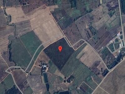 ที่ดินป่าอ้อย จ.เลย  ทำเลดี ราคาน่าลงทุน