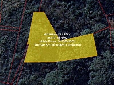 ขายที่ดินเปล่า 2-0-64.1 ไร่ ท่าโพธิ์ จ.พิษณุโลก ราคา 1.60 ล้านบาท