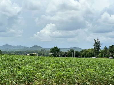 ขายที่ดินเปล่าแปลงสวย หนองขาม ศรีราชา ชลบุรี 