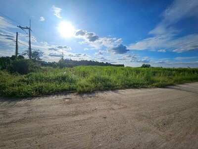 ขายที่ดินสวยพนัสถูกที่สุดในย่านนี้ ที่ดิน 47 ไร่ 40 ตารางวา