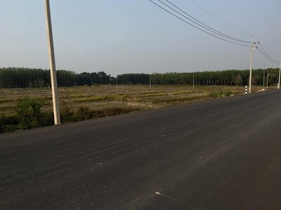 ขายที่ดินใกล้ริมแม่น้ำโขง อำเภอบึงกาฬ จังหวัดบึงกาฬ