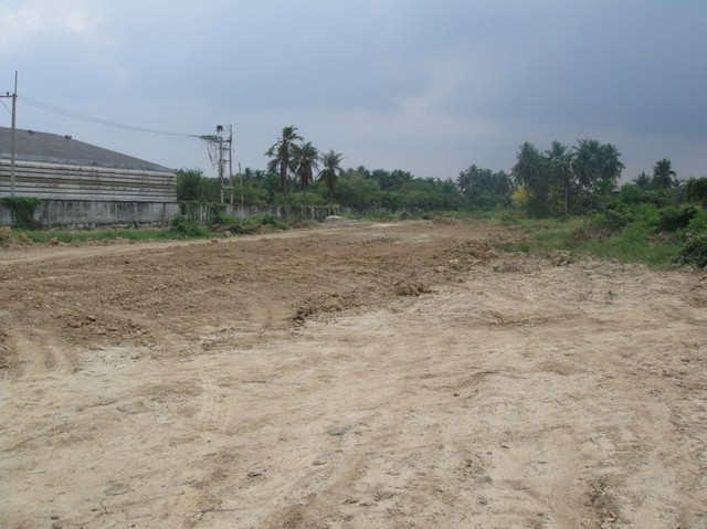ขายที่ดินแปลงงาม        :                    นครปฐม