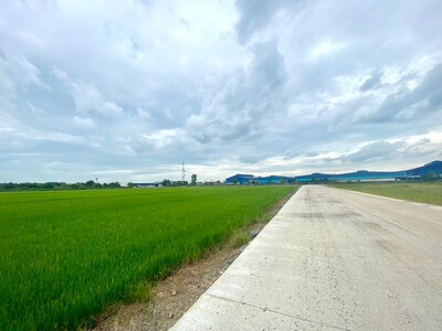 ขายที่ดิน 12 ไร่ ถมแล้วผังสีม่วง เขตEEC อ.เมือง ฉะเชิงเทรา
