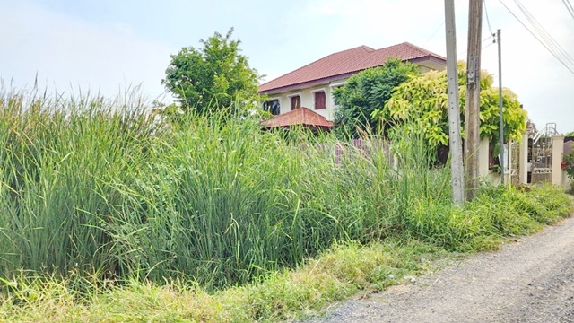  เหมาะสำหรับสร้างบ้าน อ่อนนุช 68-72 ประเวศ เฉลิมพระเกียรติ ขายที่ดิน  206 ตร.วา  ต่อรองได้ โกดัง โรงงาน พัฒนาการ 95-99  