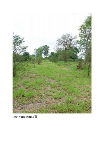 ขายที่ดิน ตำบลปากช่องอำเภอปากช่อง จังหวัดนครราชสีมา จำนวน 4 ไร่