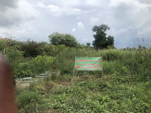 ขายที่ดิน หนองจอก 61 ตรว กรุงเทพ 650,000 บาท ใกล้บิ๊กซี หนองจอก 