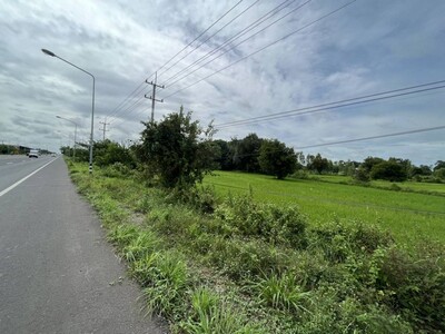 ขายที่ดินนา3-1-46ไร่ 10ล. ถนน4เลน ต.หนองแก้ว อ.เมือง ศรีสะเกษ