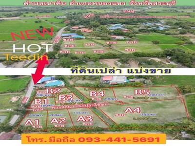 ที่ดินแบ่งขาย2งานใกล้วัดเขาไกรลาศหนองแซงสระบุรีเริ่มต้นตรวล่ะ3,50