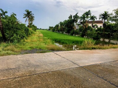 ต้องการขายที่ดินจำนวน6ไร่ 