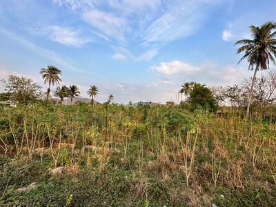 ขายที่ดินเขตพื้นที่พัฒนา ทำเลสวย  โซนเขาคันทรง ศรีราชา ชลบุรี