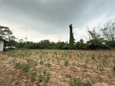 ขายที่ดินขอบอ่างบางพระ ศรีราชา แปลงสวย ทำเลดี ใกล้แหล่งชุมชน