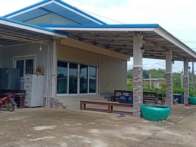 ขาย สวนทุเรียน 8 ไร่ หมอนทอง โฉนดครุฑแดง พร้อมบ้าน 2 หลัง