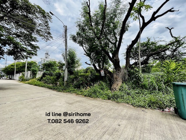 ที่ดิน ให้เช่าระยะยาว 163 ตรว. ศรีนครินทร์ซอย 16 เพียง 250 เมตรใกล้สถานีรถไฟฟ้าพัฒนาการ