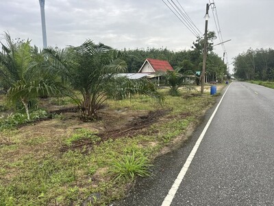 ขายที่ดินติดถนน แถวหนองมะปริง แม่น้ำคู้ อำเภอปลวกแดง จังหวัดระยอง