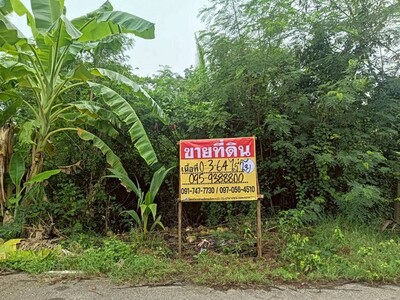 ขายที่ดิน 364 ตร.วา. ปลายโพงพาง  อัมพวา  สมุทรสงคราม 