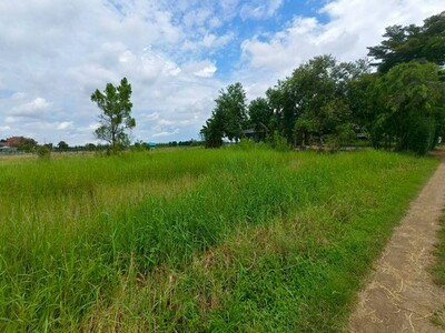 ขายที่ดิน ที่ดิน คลอง7 หนองเสือ ปทุมธานี