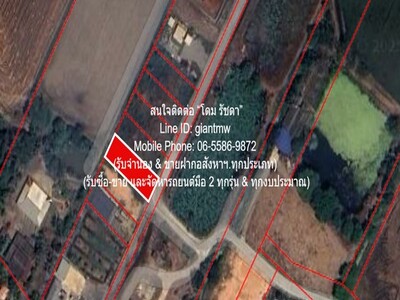 ขายที่ดินเปล่า(ยังไม่ได้ถม) 0-1-0 ไร่ (100 ตร.ว.) อ.เมืองฉะเชิงเท