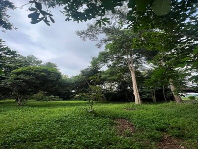 ขายที่ดินหนองปลาไหล บางละมุง แปลงสวย ติดถนนสันติคาม