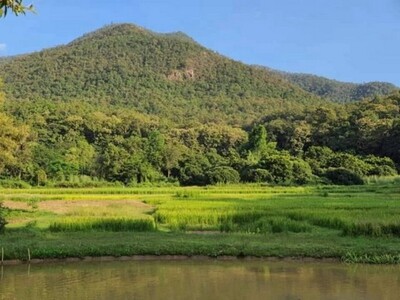 ที่ดินแปลงสวย ขายยกแปลง ออนใต้ สันกำแพง               ที่ดินแปลงสวย ขายยกแปลง ออนใต้ สันกำแพง