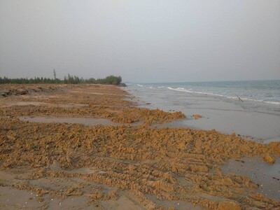 ขายด่วนที่ดินติดทะเล ตำบลบ่อนอก อำเภอเมืองประจวบคีรีขันธ์ ขายด่วนที่ดินติดทะเล ตำบลบ่อนอก อำเภอเมืองประจวบคีรีขันธ์