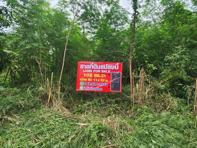 ขายที่ดินคลองสาม 102  ตร.ว  ขายด่วน1.3ลบ. ถมแล้ว ขายที่ดินคลองสาม 102  ตร.ว  ขายด่วน1.3ลบ. ถมแล้ว