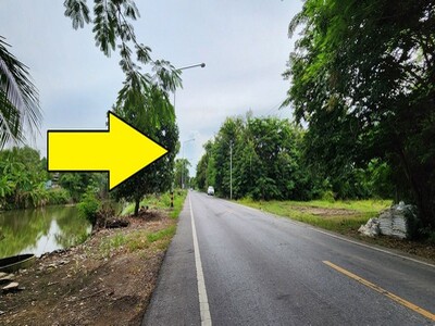  ขายที่ดิน30 ไร่ คลอง11หนองเสือ ปทุมธานี ราคาถูก