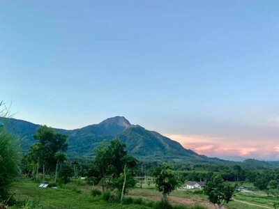 ขายด่วนที่ดิน เนื้อที่ 15 ไร่ 2 งาน 29.4 ตารางวา ด้านหลังมีลำธารเ ขายด่วนที่ดิน เนื้อที่ 15 ไร่ 2 งาน 29.4 ตารางวา ด้านหลังมีลำธารเ