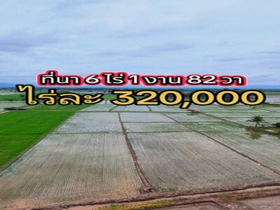 ที่นา ราคาถูกสุดคุ้ม!  ถ.แม่ไร่–บ้านแม่คำ อ.แม่จัน จ.เชียงราย  ที่นา ราคาถูกสุดคุ้ม!  ถ.แม่ไร่–บ้านแม่คำ อ.แม่จัน จ.เชียงราย