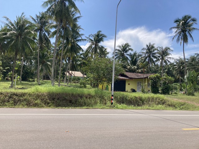 ทรัพย์มั่งคั่งรับปี 67 ที่ใกล้หาดทุ่งวัวแล่น ต.สะพลี อ.ปะทิว จ.ชุมพร ราคาคุยได้ สนใจโทรตรง 096-882-1857