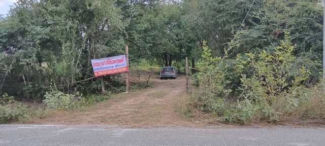 ทรัพย์มั่งคั่งทวีโชครับปี 67 ที่สวยติดทางหลวง1107 เมืองบ้านตาก จ.ตาก คมนาคมสะดวกมาก 36 ไร่เศษ อ.บ้านตาก  จ.ตาก  ติด ทล.1107 โทร 0968821857