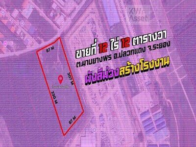 ขายที่ดิน 12ไร่  12 ตารางวา อ.ปลวกแดง จ.ระยอง