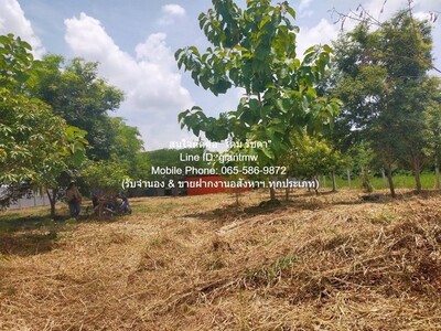 //ถูกสุด//ขายที่ดินเปล่า 1-0-14.5 ไร่ ซ.สุวินทวงศ์ ใกล้สนามกอล์ฟ