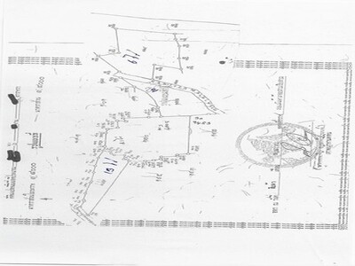 ขายที่ดินแปลงสวย อำเภอโนนไทย จังหวัดนครราชสีมา เนื้อที่ 50 ไร่ 