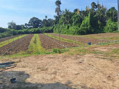 ที่ดินเปล่า 1-1-9.3 ไร่ ต.ดอนรวก อ.ดอนตูม จ.นครปฐม