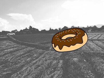 ทรัพย์คุ้มใช้ประโยชน์ ขายที่ติดแม่น้ำน่าน อ.ท่าวังผา น่าน 0968821