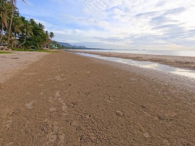 ทรัพย์คุ้มใช้ประโยชน์ ขายที่สวยติดทะเล ที่ติดชายหาดสะพลี ชุมพร 5.