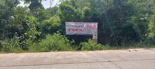 ขายที่ดินเปล่า 258 ตารางวา ทำเลดี วิวแม่น้ำน่าน ต.พลายชุมพล อ.เมือง จ.พิษณุโลก 