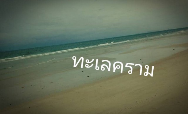 รับหน้าร้อนทรัพย์มั่งคั่ง ที่ดินริมหาดส่วนตัวติดทะเล หาดสะพลี264 ตร.วา ชุมพร 16 ลบ. โทร 083-712-4115