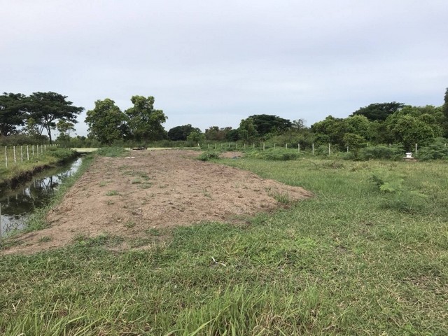 ให้เช่าที่ดินเปล่า เนื้อที่ 1-1-19 ไร่ ที่ในโครงการ คลองสิบ หนองจอก กรุงเทพ