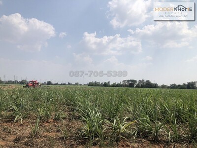ขายที่ดิน 176-3-80.9 ไร่ ถนนชัยภูมิ สีคิ้ว กม.16 สีคิ้ว นครราชสีม