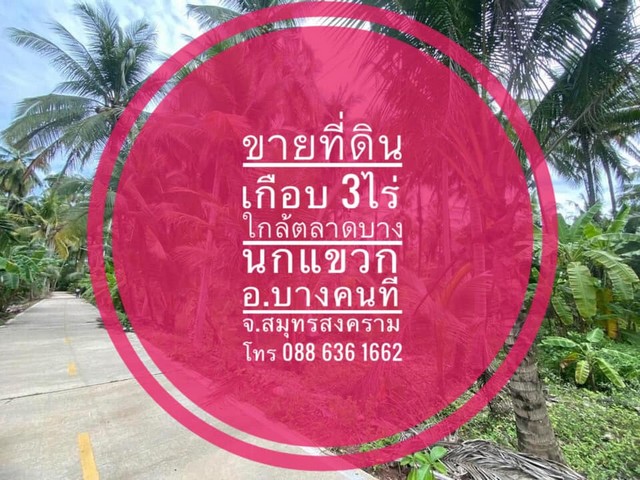 ขายถูกที่ดินเกือบ3ไร่ ไม่ไกลจากกรุงเทพ ท่ามกลางธรรมชาติ ใกล้แหล่งชุมชน มีเพื่อนบ้าน จ.สมุทรสงคราม