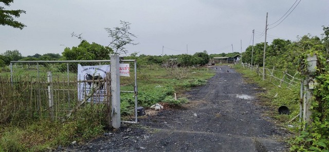 ขายที่ดินสวนลำไย มีน้ำไฟพร้อม ติดถนนคันคลองชลประทาน ตำบลทุ่งต้อม อำเภอสันป่าตอง จังหวัดเชียงใหม่