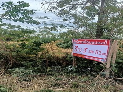 ขายที่นาเสาไห้4ไร่ ขายที่นาสระบุรี 