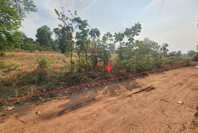 ขายที่ดินว่างเปล่า   อำเภอเมืองเชียงยืน  มหาสารคาม (PKK01-11096)