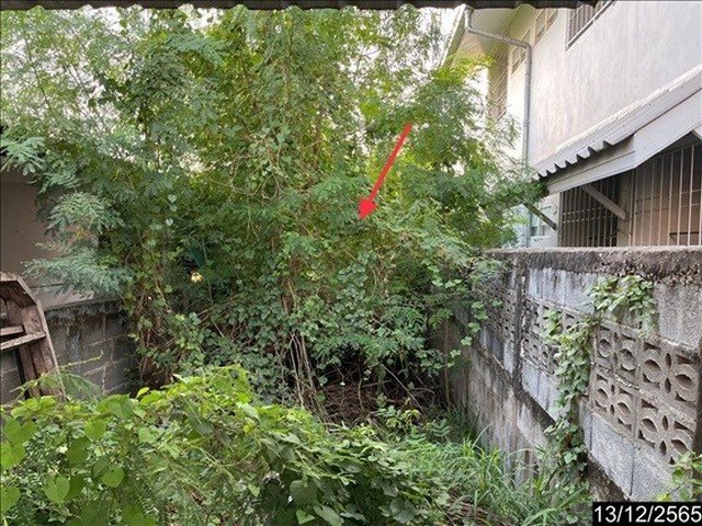 ขายที่ดินว่างเปล่า   อำเภอเมืองมหาสารคาม  มหาสารคาม (PKK01-11893)