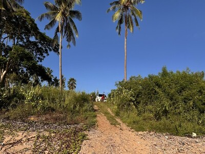 ซื้อไว้ดีมีไว้รวยอสังหา  ที่ดินติดถนนหลวง ใกล้หาดบางเบิด  ไร่ล่ะ 