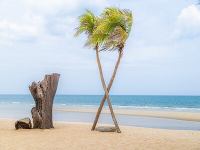 ซื้อไว้ดีมีไว้รวย อสิงห์หา ที่ดินสวยใกล้หาดฝั่งแดง 2.8 ลบ.