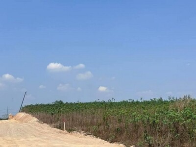 ขายที่ดินศรีราชาชลบุรีด 75-2-98.3 ไร่