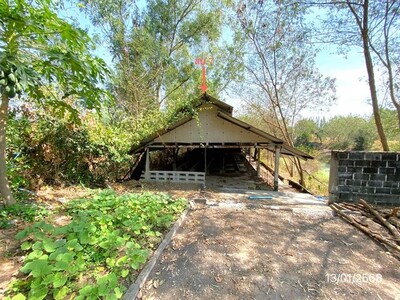 ขายโรงเรือนเลี้ยงสุกร ถ.ฉะเชิงเทรา-สัตหีบ ท่าบุญมี เกาะจันทร์ จ.ช