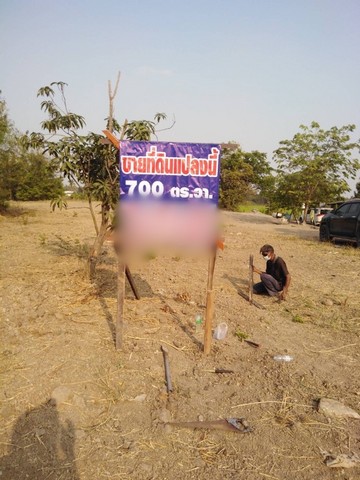 ขายที่ดินแปลงงาม     :                       นครปฐม